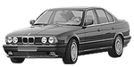 BMW E34 P0AF0 Fault Code